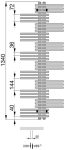 Zehnder Yucca radiátor 130 x 60 cm, elektromos