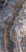 sant'agostino star, onyx indigo 30 x 60 cm kry 