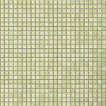 anthologhia, gladiolo