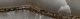 sant'agostino akoya, ocean 7,3 x 29,6 cm kry