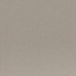   casalgrande padana earth by pininfarina, Earth Grigio 2 60 x 60 cm Natural R10