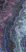 sant'agostino star, onyx purple 30 x 60 cm kry 