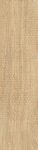 Caesar arthis, vapor 20 x 120 cm RT impression Caesar arthis, vapor 20 x 120 cm RT impression