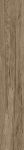 sant'agostino sunwood, walnut 10 x 60 cm