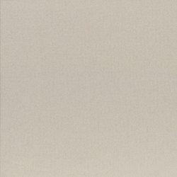 casalgrande padana earth by pininfarina, Earth Grigio 1 60 x 60 cm Natural R10
