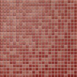 anthologhia, camelia anthologhia, camelia