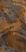 sant'agostino sable, antique 02 60 x 120 cm kry