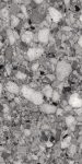 sant'agostino venistone, dark 60 x 120 cm, kry