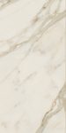 Caesar anima futura, golden white 60 x 120 cm lucidato