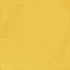 sant'agostino vita, giallo luc 20 x 20 cm sant'agostino vita, giallo luc 20 x 20 cm
